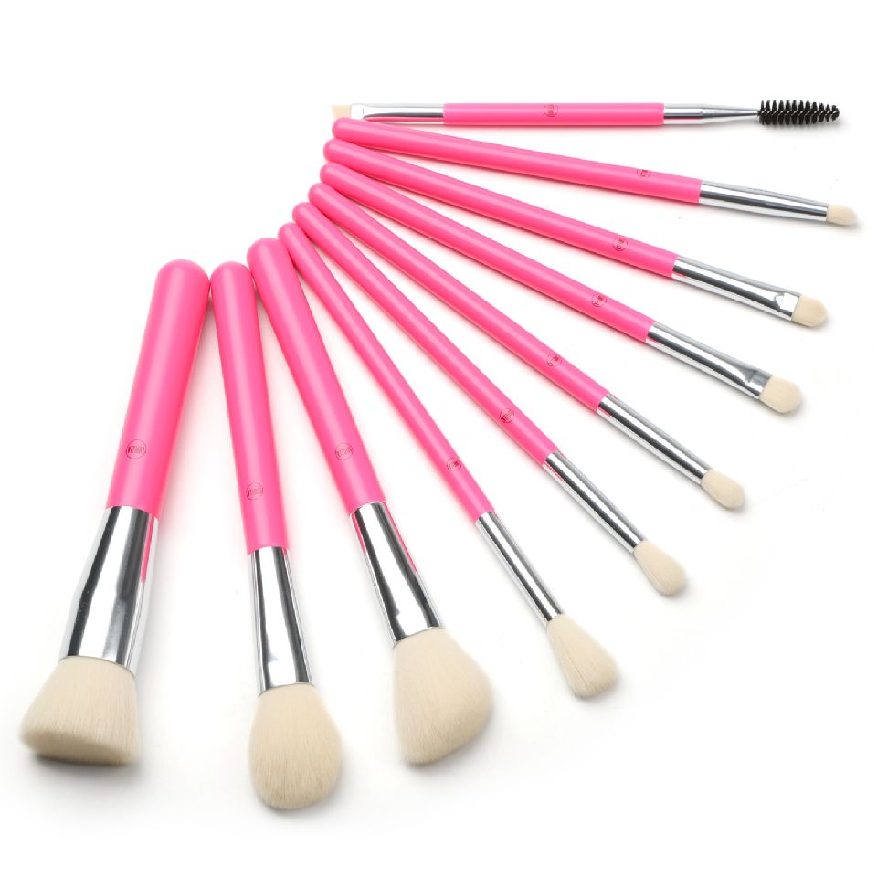 Pink Brush Set  10 Pieces and Bag