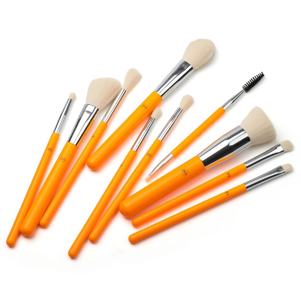 Neon Brush Sets (Orange) - 10 Pieces + Bag